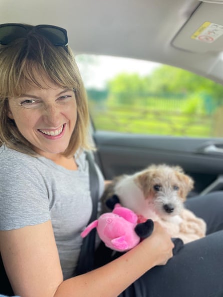 A woman in a T-shirt in the passenger seat of a car grins as she holds a small fluffy terrier dog on her lap and a stuffed toy