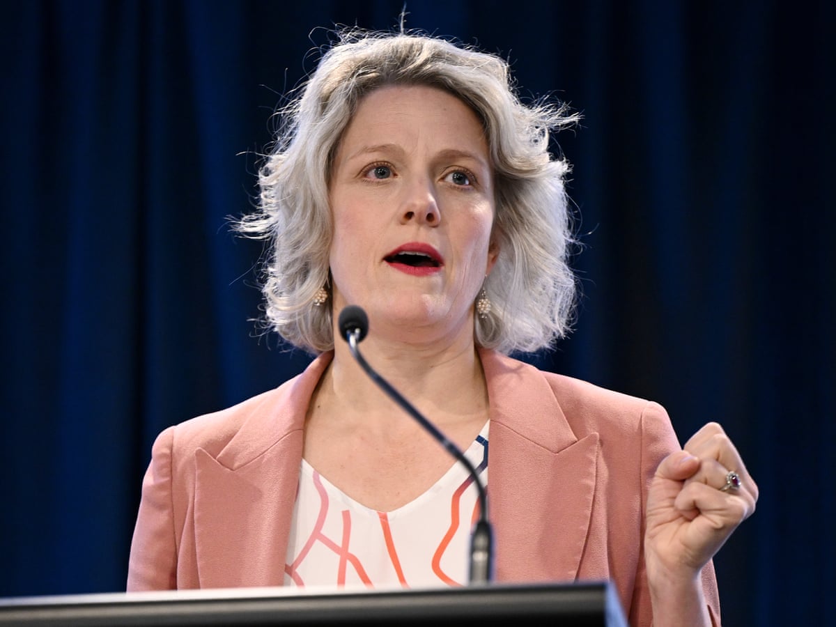Clare O'Neil promises 'profound and transformative' investment to ease housing crisis | Australian politics | The Guardian