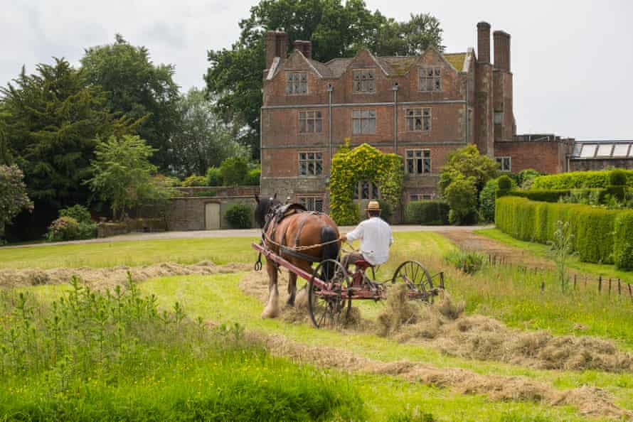 Tedding hay at Acton Scott Farm in Shropshire