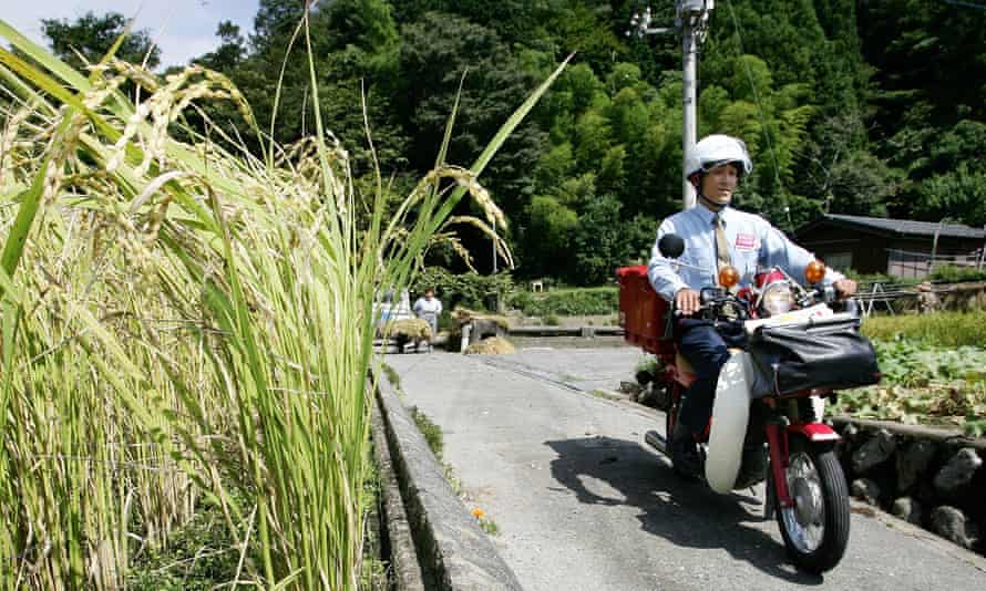 Un cartero pasa en moto por un pequeño campo de arroz para entregar correo y paquetes en Hayakawa.