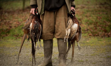 A pheasant shoot in Lancashire