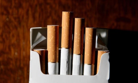 how to start a tobacco leaf company How to open a profitable tobacco farm? how to start a tobacco leaf company How to open a profitable tobacco farm?
