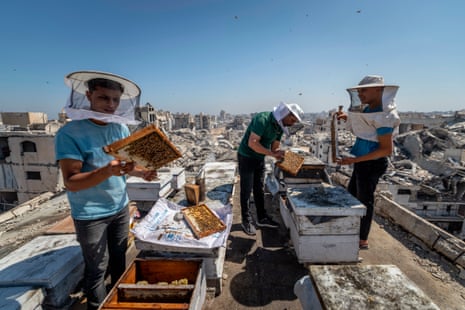 the three men, wearing protective headgear tend to the beehives