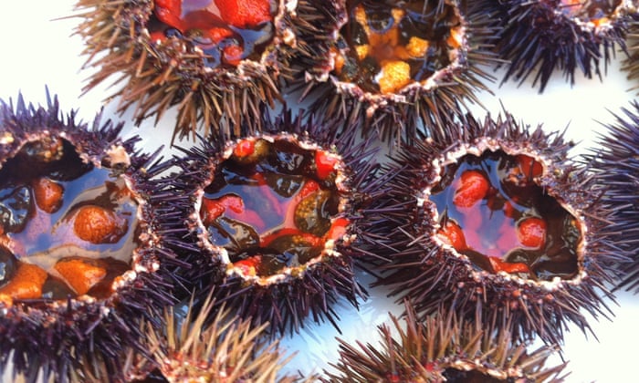 Sea Urchin Is In Demand It S The Ocean S Foie Gras Delicious