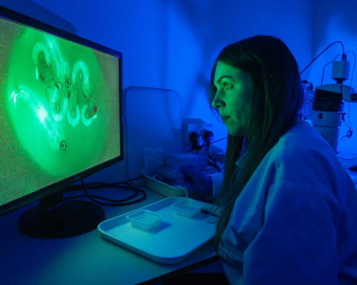 Woman at screen in dark room