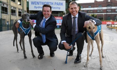 Australian Greyhound Owners Fined Over Exports To Cruel Conditions In China Animal Welfare The Guardian