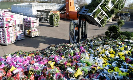 Surplus flowers are destroyed at an auction site in Honselersdijk, the Netherlands