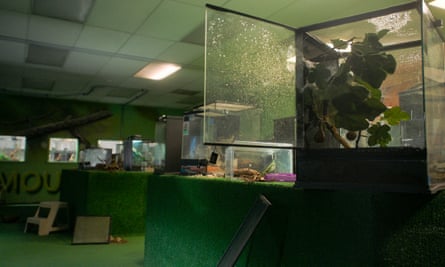 The Philadelphia Insectarium & Butterfly Pavilion after being robbed.