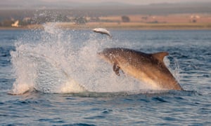 Moray Firth Radio dating