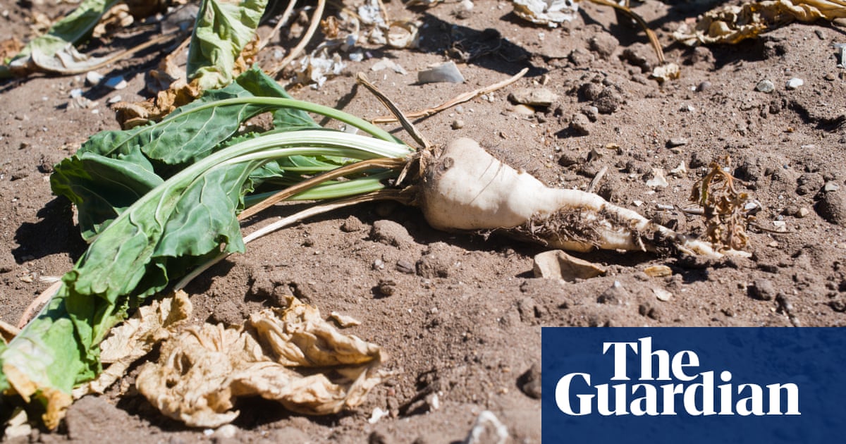 Mass crop failures expected in England as farmers demand hosepipe bans