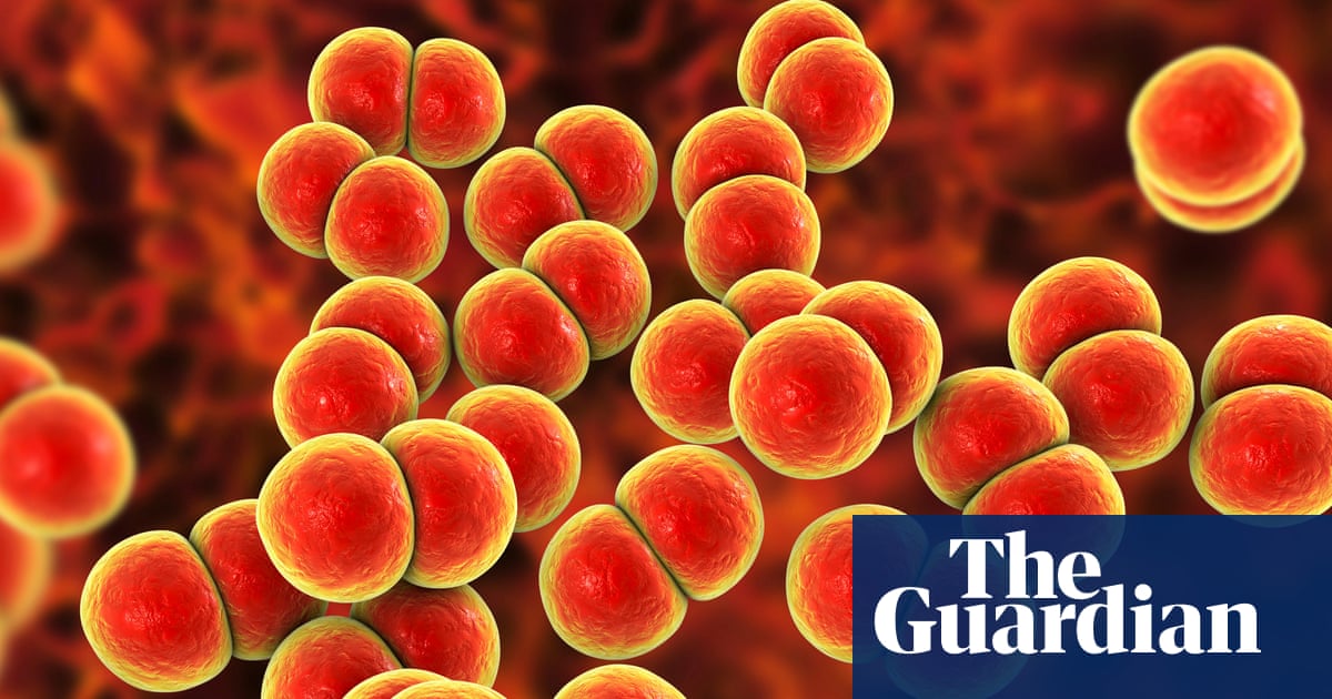 Gonorrhoea and syphilis rise by more than 50% in Australia with ‘concerning’ rise in cases in women