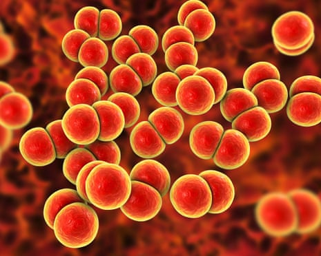 CGI gonorrhoea bacteria.