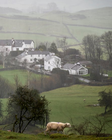 A field with a sheep in it with rolling hills and white buildings in the background