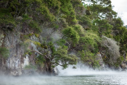 Steam rises from a hot water beach in Lake Tarawera, Rotorua, New Zealand.