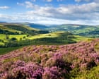 Country diary: This moorland needed rainfall – it got something even better | Ed Douglas
