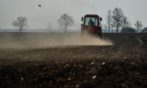 Scientists describe soils as like the skin of the living world, vital but thin and fragile, and easily damaged by intensive farming, forest destruction, and pollution. 