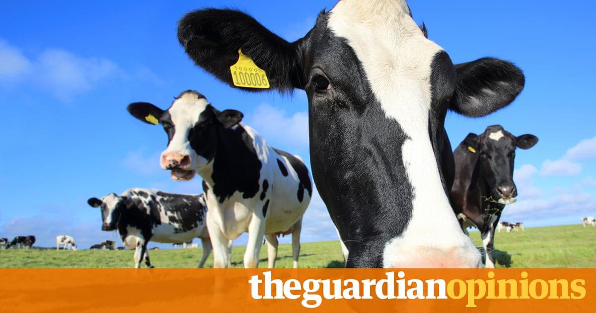 Goodbye – and good riddance – to livestock farming | George Monbiot