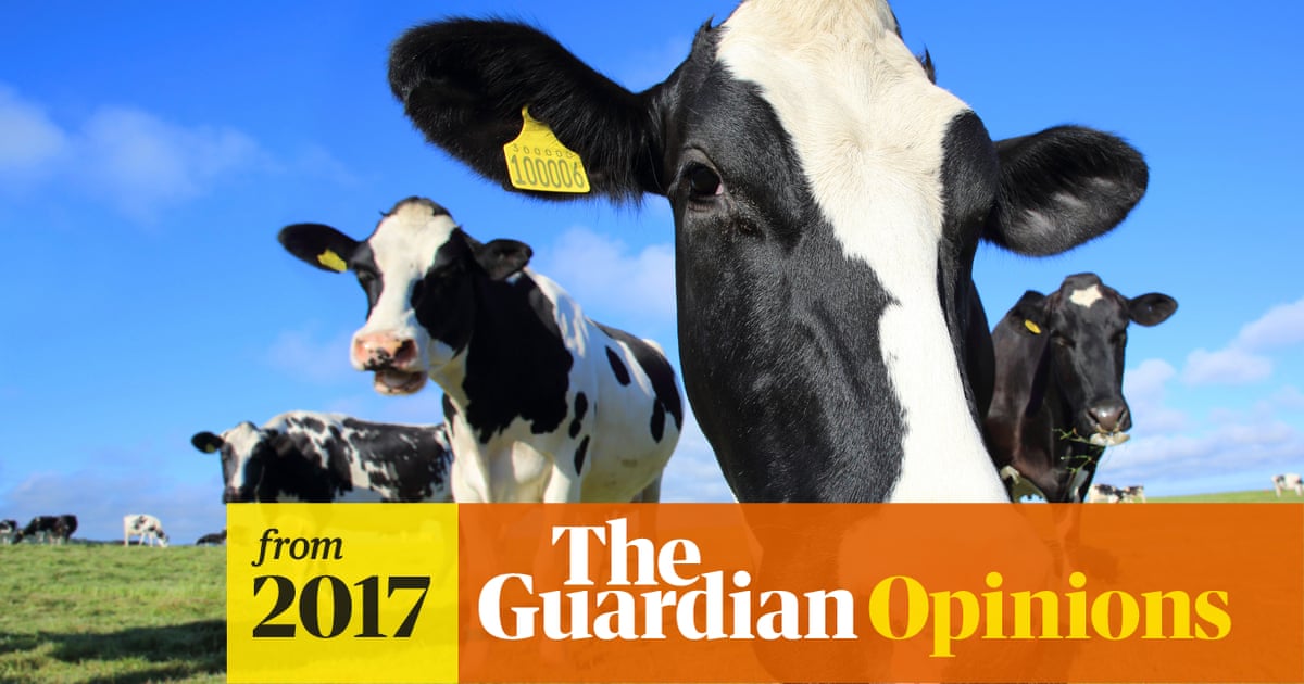 Goodbye – and good riddance – to livestock farming | George Monbiot