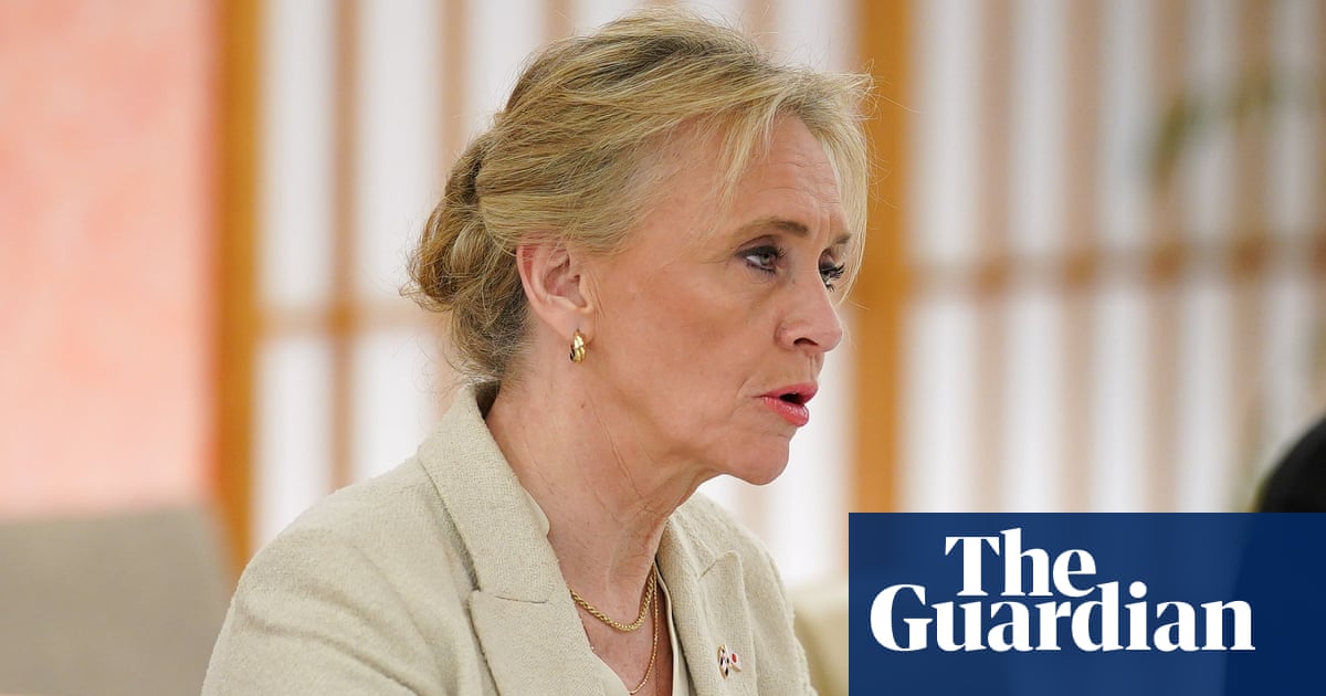 Iceland's foreign minister fears Brexit moment' in country's EU accession referendum
