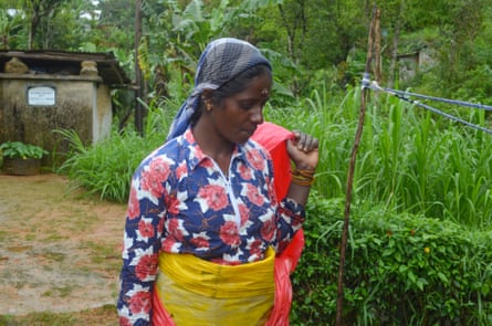 A female tea picker carrying a plastic sack on a plantation in Sri Lanka.