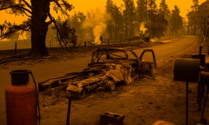 The aftermath of bushfires on properties south of Cobargo on the New South Wales south coast on Sunday.