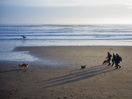 Three dog-walkers on a large empty beach with a surfer in the distance carrying their board at the water’s edge