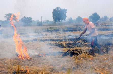 A farmer burns stubble near Amritsar, Punjab. The air quality has deteriorated as haze has engulfed the region