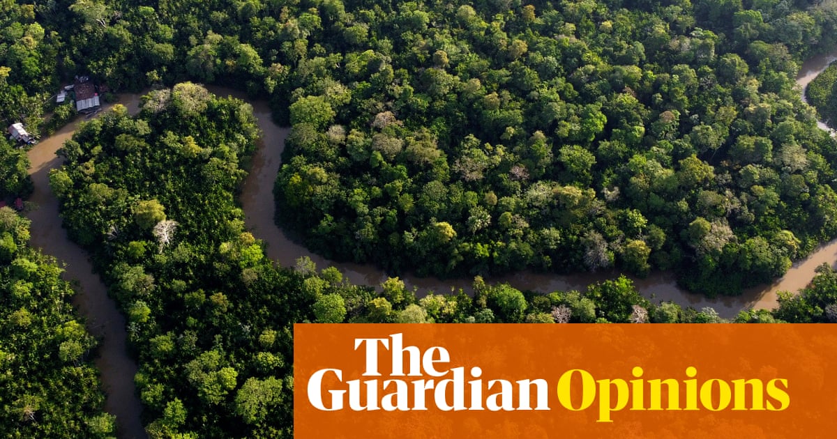The Guardian view on protecting the Amazon: forest defenders must have support | Editorial