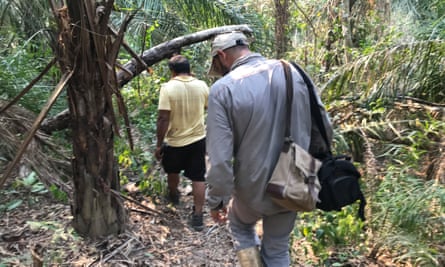 Бернардо, местный коренной житель, ведет археолога Умберто Ломбардо в джунгли.