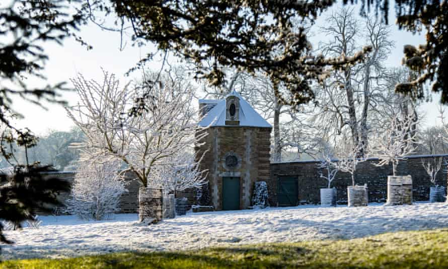 Snowdrop Sanctuary: Enjoy the scent in Easton in Lincolnshire.