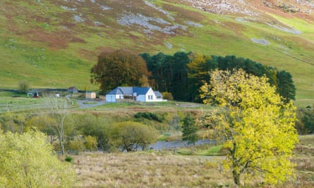 A dachshund discovers the Scottish Borders: our pet-friendly stay in the Tweed Valley | More than just a cottage holiday 4 Tweedford Cottage