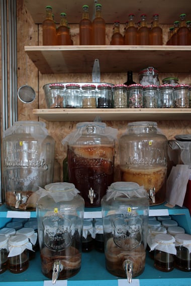 Jars of kombucha, a fermented, eco-friendly tea, and the basis of one of the Green Lab startups.