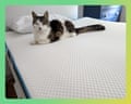 A cat sits with sleepy eyes facing the camera, atop the Simba mattress topper. there is a pillow behind them and their take is out long. The cat is white and tabby coloured.
