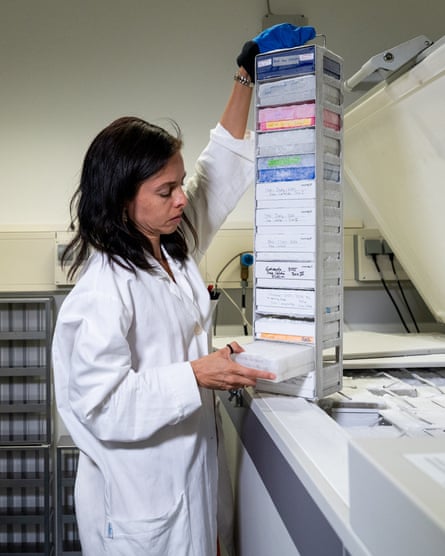 A woman in a lab coat holds a stack of labelled boxes in a metal container