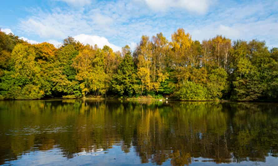 The Hazlitt Wood Pond (also known as the 'Golly Pond'), Heaton Park, Manchester, England, UK.H9FY7P The Hazlitt Wood Pond (also known as the 'Golly Pond'), Heaton Park, Manchester, England, UK.