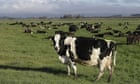 New Zealand farmers may pay for greenhouse gas emissions under world-first plans