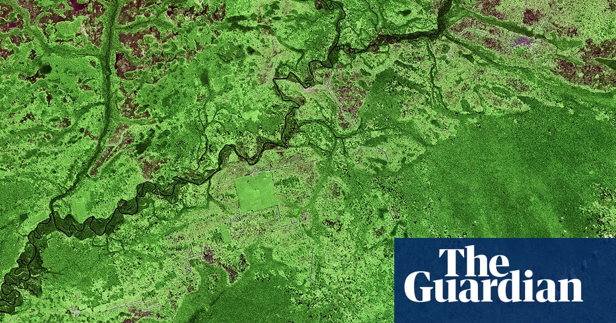 âTaking the pulse of the planetâ: could we monitor biodiversity from space as we do the weather? | Space