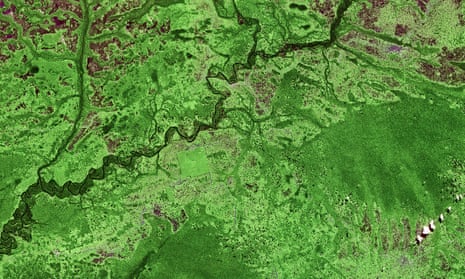 Satellite image of forested land and a river in the Democratic Republic of the Congo, 26 June 2011