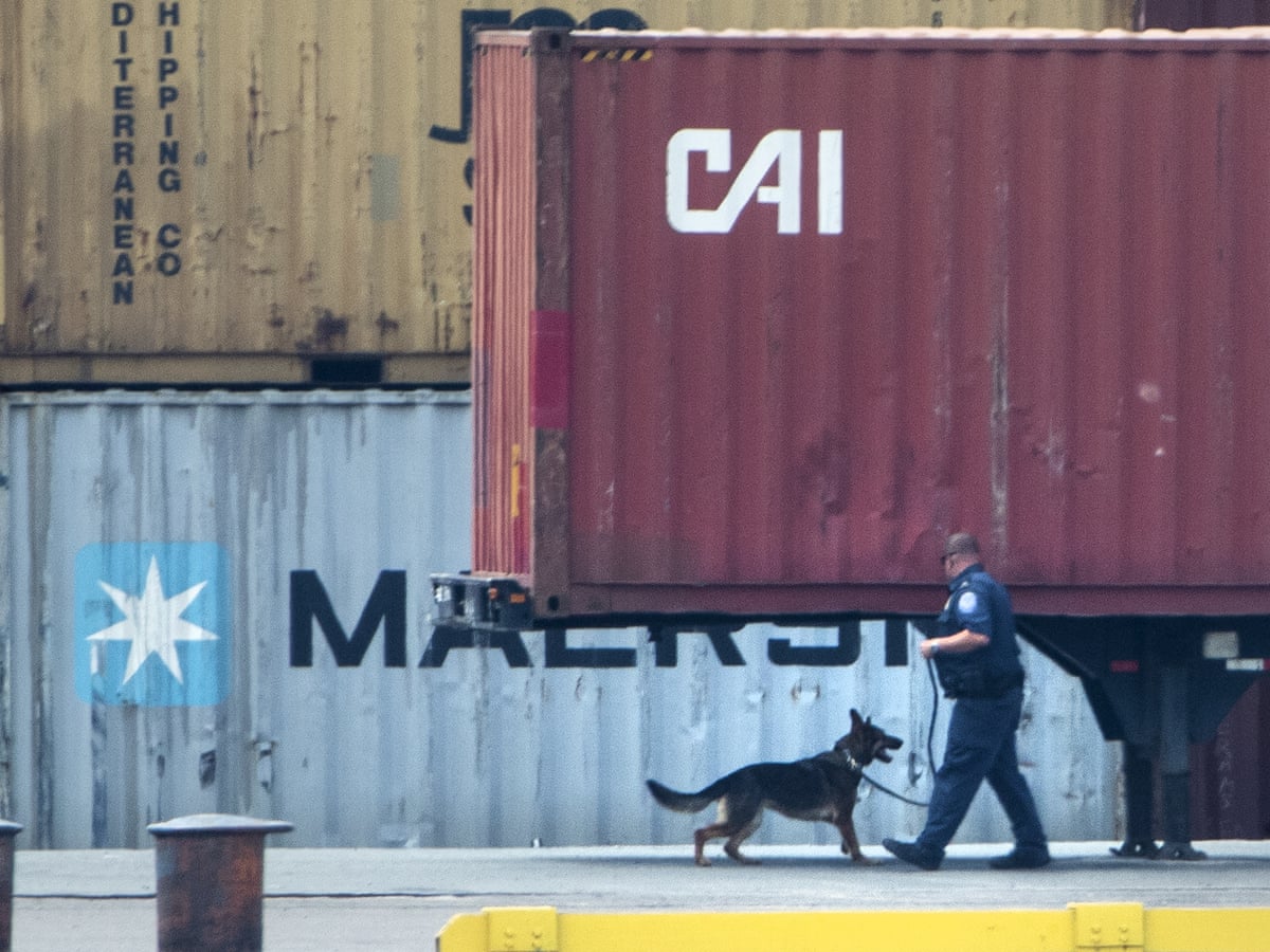 More than $1bn worth of cocaine seized from ship at Philadelphia port | US news | The Guardian