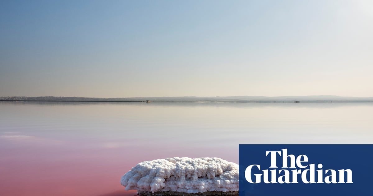 The best recent science fiction, fantasy and horror – review roundup