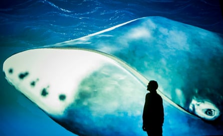 A man views a lifelike audiovisual installation of a bowhead whale at the Maritime Museum in Hull
