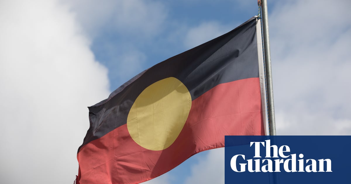 Government could buy Aboriginal flag copyright to settle dispute, lawyer says