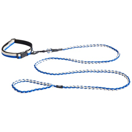 HAY Stripe Flat Dog Collar