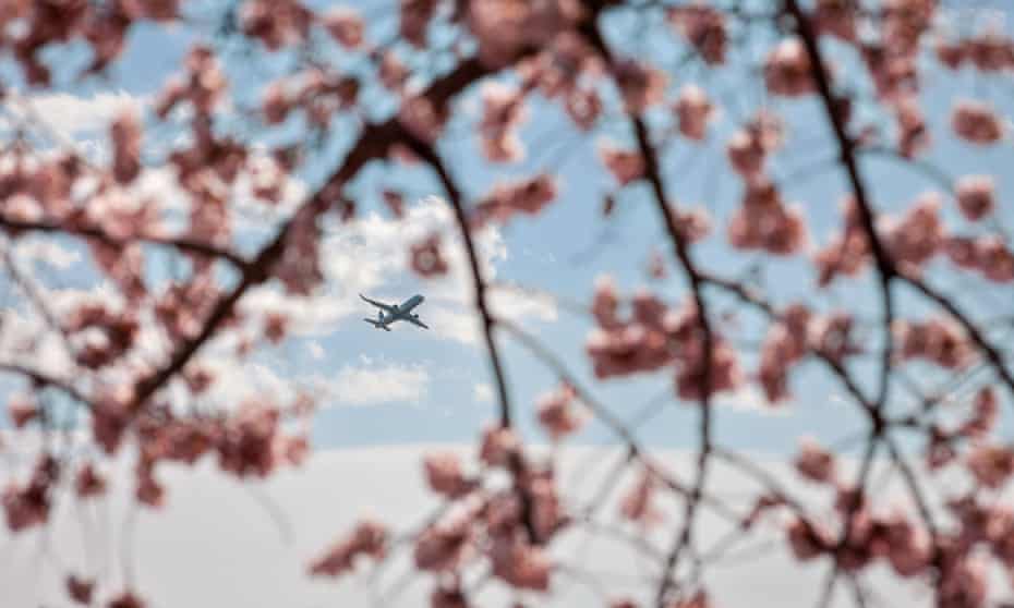 A plane over Washington DC this week.