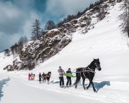skijoring –people on skis and being pulled across the snow by a horse