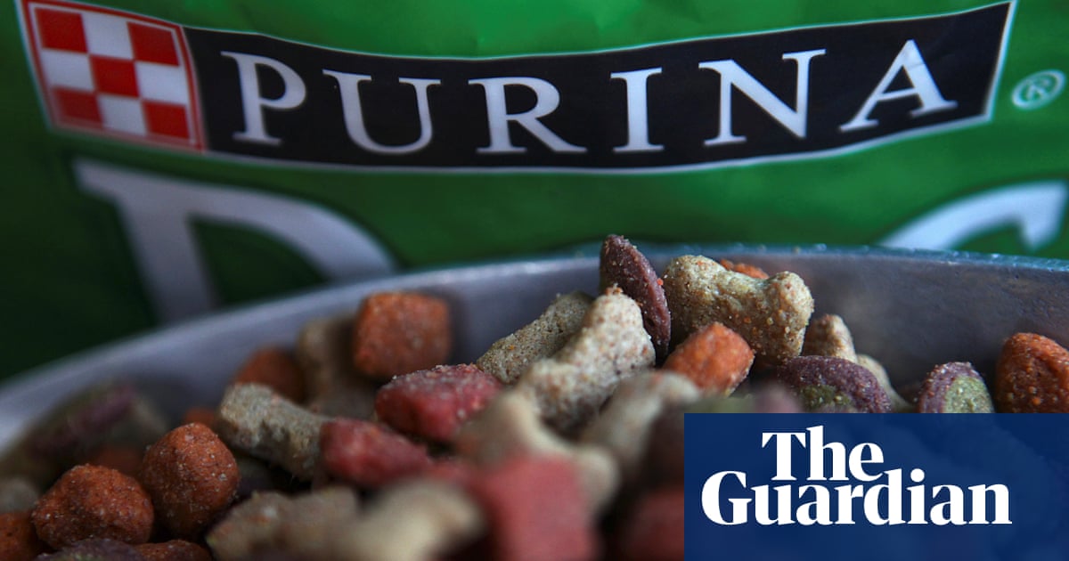 Most US pet food contaminated with forever chemicals, study finds