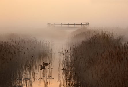 Creek and reedbeds misty evening Salthouse marshes Norfolk