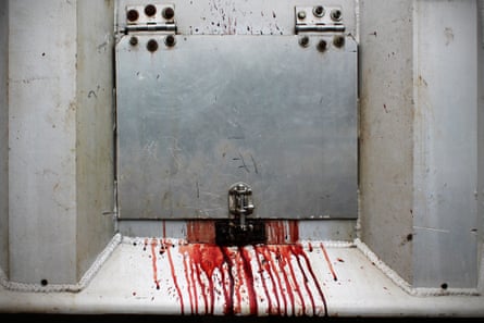 Bloods leaks from a door on a transport truck leaving a slaughterhouse, Canada