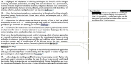 A screenshot of a Cop29 negotiating document.