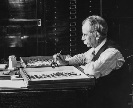 Waterhouse sorts through specimens